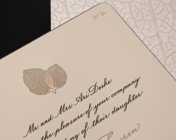 IMG_8287-c-Precise-Continental