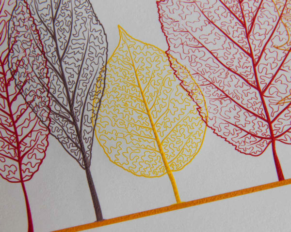 Precise-Continental-6144